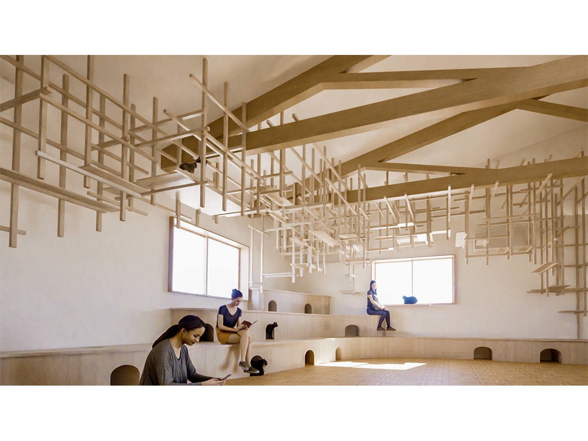 猫の遊び道具 雲と波