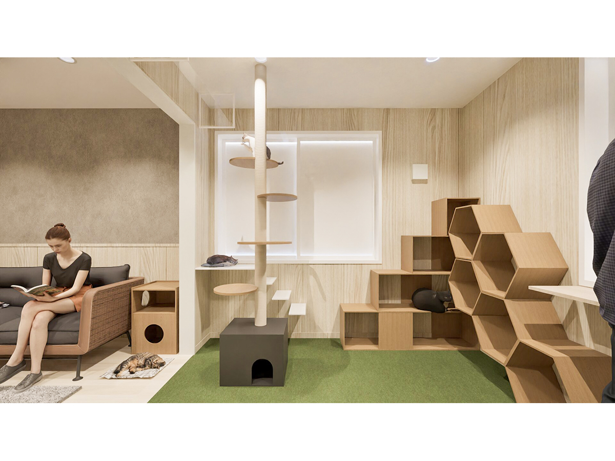 遊び道具がたくさんある猫庭