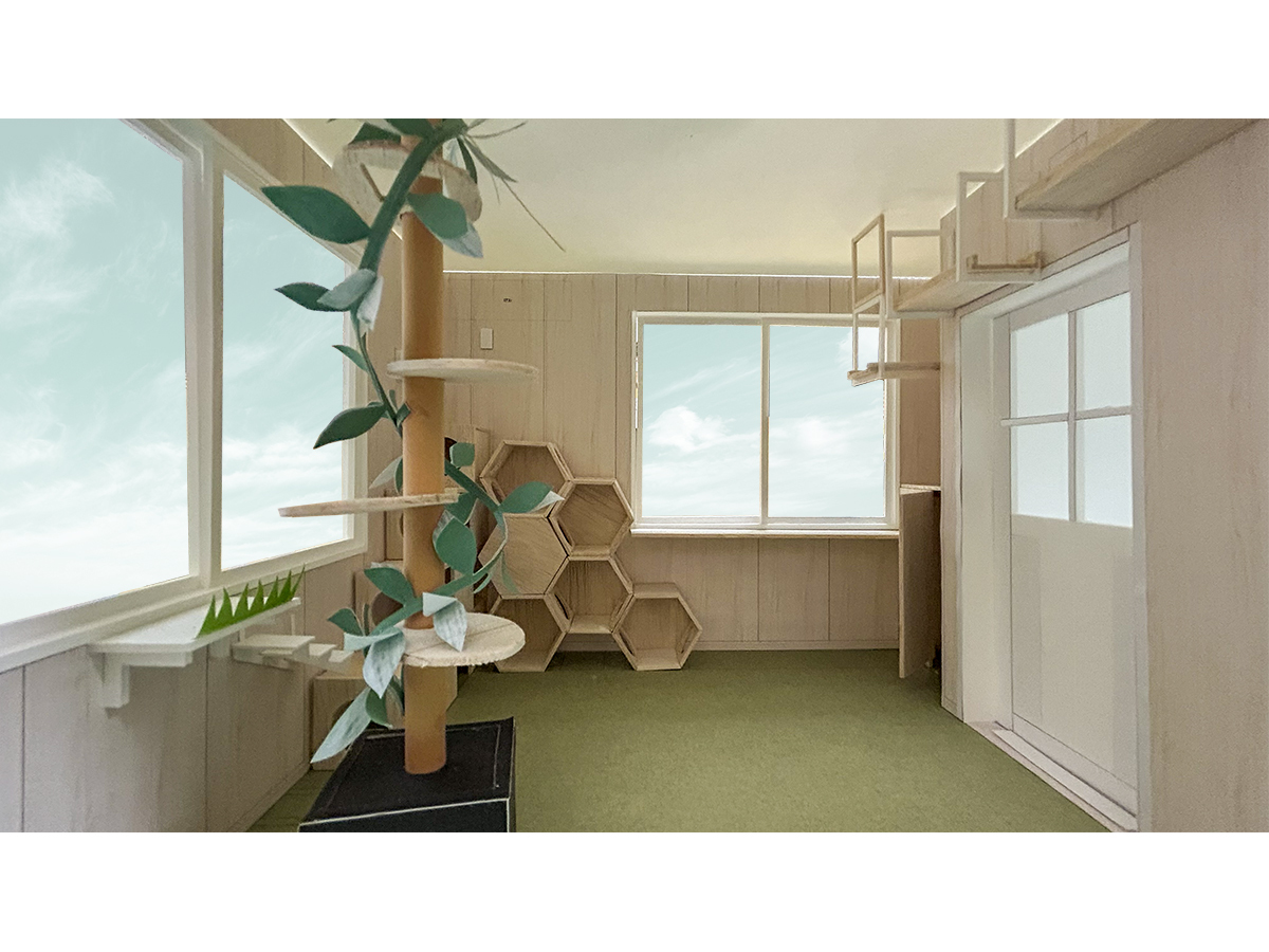 猫庭の検討模型-1