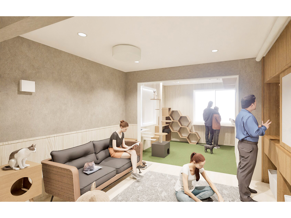 猫リビングと猫庭