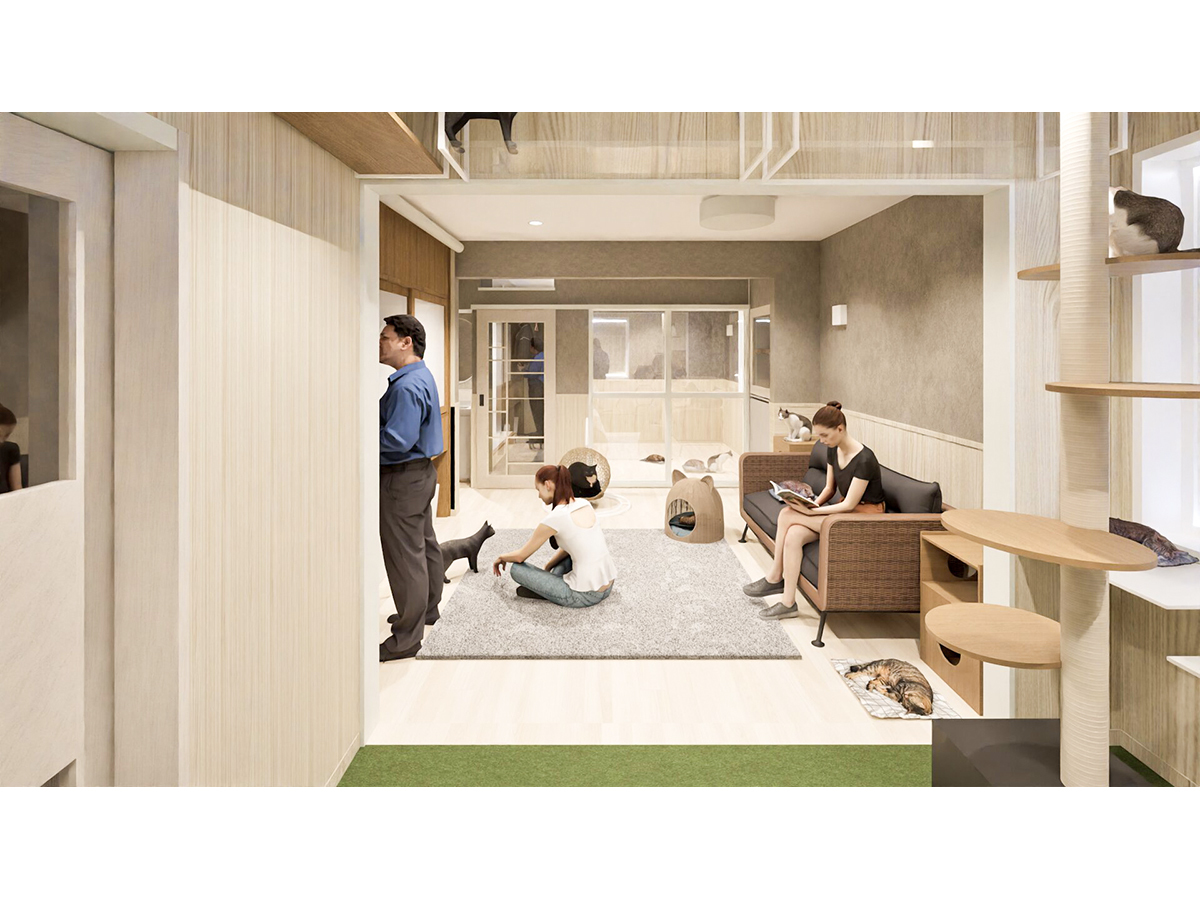 猫庭から猫リビングを見る